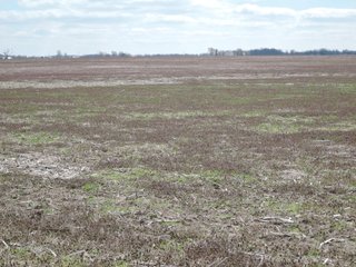 Property photo 63 - LAND AUCTION - 535+/-ACRES OFFERED IN 6 TRACTS IN DELAWARE COUNTY, INDIANA