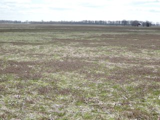 Property photo 34 - LAND AUCTION - 535+/-ACRES OFFERED IN 6 TRACTS IN DELAWARE COUNTY, INDIANA