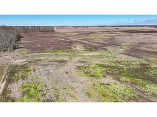 Property photo 12 - LAND AUCTION - 535+/-ACRES OFFERED IN 6 TRACTS IN DELAWARE COUNTY, INDIANA