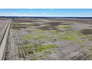 Property photo 23 - LAND AUCTION - 535+/-ACRES OFFERED IN 6 TRACTS IN DELAWARE COUNTY, INDIANA