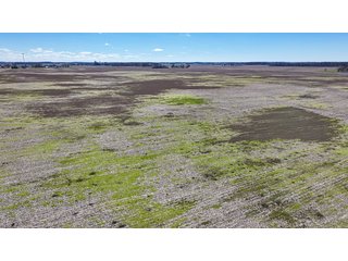 Property photo 24 - LAND AUCTION - 535+/-ACRES OFFERED IN 6 TRACTS IN DELAWARE COUNTY, INDIANA