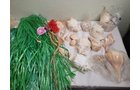 Property photo 369 - TIMED ONLINE ONLY PERSONAL PROPERTY AUCTION IN DEKALB COUNTY INDIANA