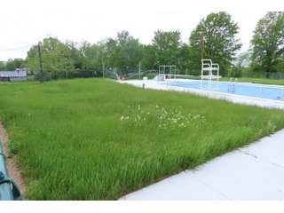 Property photo 27 - COURT ORDERED LAND AUCTION - 113+/- ACRES OFFERED IN 1 TRACT IN MASON COUNTY, KENTUCKY
