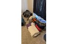 Property photo 21 - TIMED ONLINE ONLY PERSONAL PROPERTY AUCTION IN DEKALB COUNTY, INDIANA