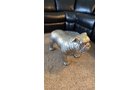 Property photo 28 - TIMED ONLINE ONLY PERSONAL PROPERTY AUCTION IN DEKALB COUNTY, INDIANA