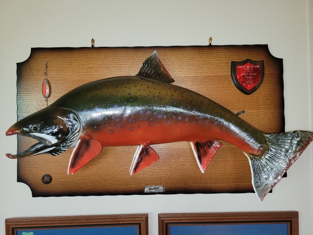 Property photo 39 - TIMED ONLINE ONLY PERSONAL PROPERTY AUCTION IN ALLEN COUNTY, INDIANA