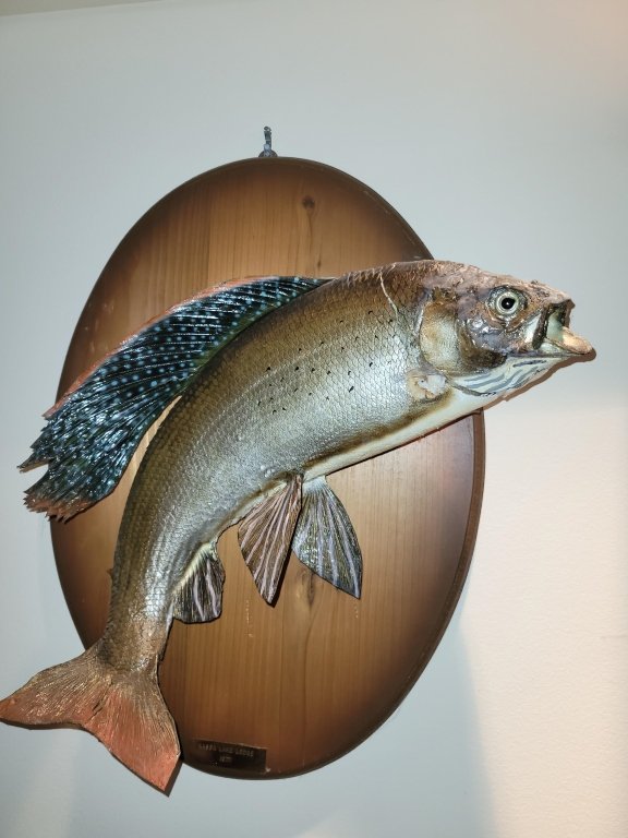 Property photo 41 - TIMED ONLINE ONLY PERSONAL PROPERTY AUCTION IN ALLEN COUNTY, INDIANA