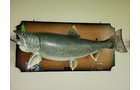 Property photo 44 - TIMED ONLINE ONLY PERSONAL PROPERTY AUCTION IN ALLEN COUNTY, INDIANA