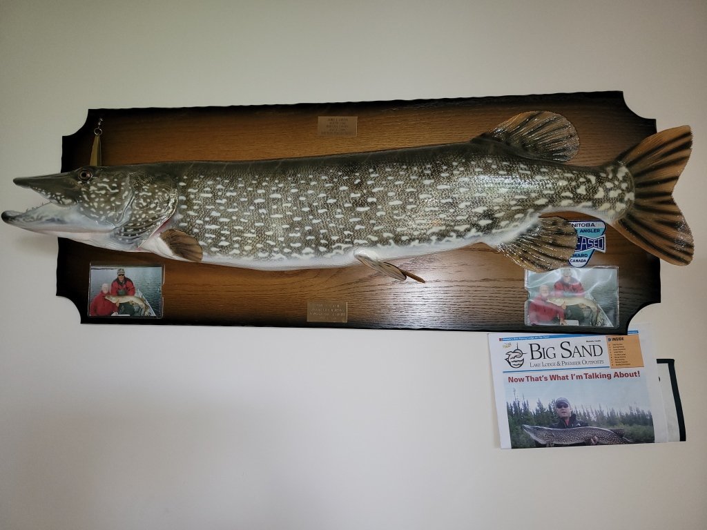 Property photo 45 - TIMED ONLINE ONLY PERSONAL PROPERTY AUCTION IN ALLEN COUNTY, INDIANA