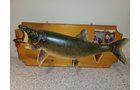 Property photo 46 - TIMED ONLINE ONLY PERSONAL PROPERTY AUCTION IN ALLEN COUNTY, INDIANA