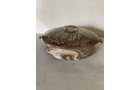 Property photo 335 - TIMED ONLINE ONLY PERSONAL PROPERTY AUCTION IN ALLEN COUNTY, INDIANA