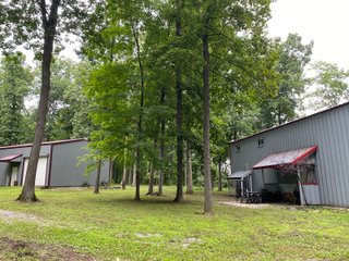 Property photo 18 - REAL ESTATE AUCTION - WILDLIFE & HUNTER'S PARADISE - 32+/- ACRES OFFERED IN 2 TRACTS IN HILLSDALE COUNTY, MICHIGAN