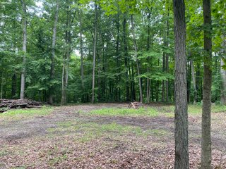Property photo 24 - REAL ESTATE AUCTION - WILDLIFE & HUNTER'S PARADISE - 32+/- ACRES OFFERED IN 2 TRACTS IN HILLSDALE COUNTY, MICHIGAN