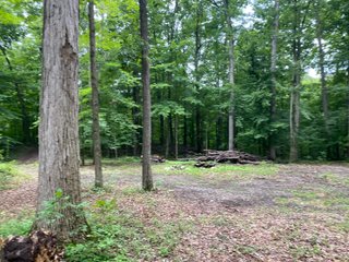 Property photo 25 - REAL ESTATE AUCTION - WILDLIFE & HUNTER'S PARADISE - 32+/- ACRES OFFERED IN 2 TRACTS IN HILLSDALE COUNTY, MICHIGAN