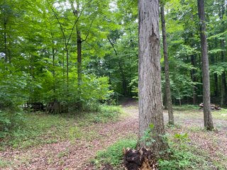 Property photo 26 - REAL ESTATE AUCTION - WILDLIFE & HUNTER'S PARADISE - 32+/- ACRES OFFERED IN 2 TRACTS IN HILLSDALE COUNTY, MICHIGAN