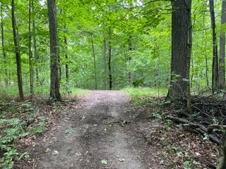 Property photo 27 - REAL ESTATE AUCTION - WILDLIFE & HUNTER'S PARADISE - 32+/- ACRES OFFERED IN 2 TRACTS IN HILLSDALE COUNTY, MICHIGAN