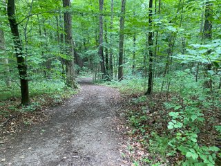 Property photo 28 - REAL ESTATE AUCTION - WILDLIFE & HUNTER'S PARADISE - 32+/- ACRES OFFERED IN 2 TRACTS IN HILLSDALE COUNTY, MICHIGAN