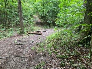 Property photo 29 - REAL ESTATE AUCTION - WILDLIFE & HUNTER'S PARADISE - 32+/- ACRES OFFERED IN 2 TRACTS IN HILLSDALE COUNTY, MICHIGAN