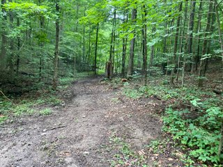 Property photo 31 - REAL ESTATE AUCTION - WILDLIFE & HUNTER'S PARADISE - 32+/- ACRES OFFERED IN 2 TRACTS IN HILLSDALE COUNTY, MICHIGAN