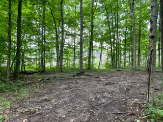 Property photo 35 - REAL ESTATE AUCTION - WILDLIFE & HUNTER'S PARADISE - 32+/- ACRES OFFERED IN 2 TRACTS IN HILLSDALE COUNTY, MICHIGAN