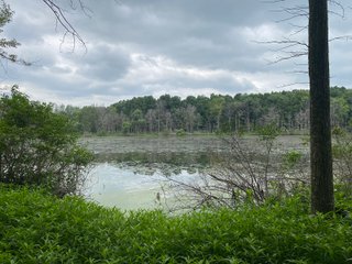 Property photo 37 - REAL ESTATE AUCTION - WILDLIFE & HUNTER'S PARADISE - 32+/- ACRES OFFERED IN 2 TRACTS IN HILLSDALE COUNTY, MICHIGAN