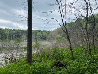 Property photo 38 - REAL ESTATE AUCTION - WILDLIFE & HUNTER'S PARADISE - 32+/- ACRES OFFERED IN 2 TRACTS IN HILLSDALE COUNTY, MICHIGAN