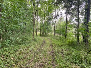 Property photo 39 - REAL ESTATE AUCTION - WILDLIFE & HUNTER'S PARADISE - 32+/- ACRES OFFERED IN 2 TRACTS IN HILLSDALE COUNTY, MICHIGAN