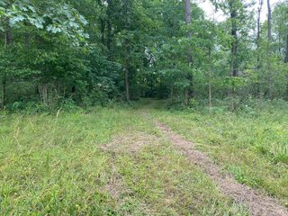 Property photo 40 - REAL ESTATE AUCTION - WILDLIFE & HUNTER'S PARADISE - 32+/- ACRES OFFERED IN 2 TRACTS IN HILLSDALE COUNTY, MICHIGAN