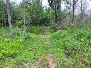 Property photo 41 - REAL ESTATE AUCTION - WILDLIFE & HUNTER'S PARADISE - 32+/- ACRES OFFERED IN 2 TRACTS IN HILLSDALE COUNTY, MICHIGAN