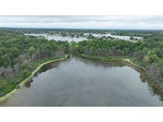 Property photo 13 - REAL ESTATE AUCTION - WILDLIFE & HUNTER'S PARADISE - 32+/- ACRES OFFERED IN 2 TRACTS IN HILLSDALE COUNTY, MICHIGAN