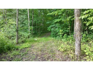 Property photo 15 - REAL ESTATE AUCTION - WILDLIFE & HUNTER'S PARADISE - 32+/- ACRES OFFERED IN 2 TRACTS IN HILLSDALE COUNTY, MICHIGAN
