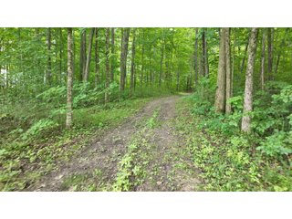 Property photo 16 - REAL ESTATE AUCTION - WILDLIFE & HUNTER'S PARADISE - 32+/- ACRES OFFERED IN 2 TRACTS IN HILLSDALE COUNTY, MICHIGAN
