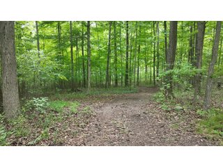 Property photo 19 - REAL ESTATE AUCTION - WILDLIFE & HUNTER'S PARADISE - 32+/- ACRES OFFERED IN 2 TRACTS IN HILLSDALE COUNTY, MICHIGAN