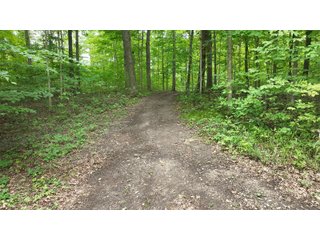 Property photo 21 - REAL ESTATE AUCTION - WILDLIFE & HUNTER'S PARADISE - 32+/- ACRES OFFERED IN 2 TRACTS IN HILLSDALE COUNTY, MICHIGAN