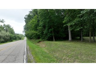 Property photo 2 - REAL ESTATE AUCTION - WILDLIFE & HUNTER'S PARADISE - 32+/- ACRES OFFERED IN 2 TRACTS IN HILLSDALE COUNTY, MICHIGAN