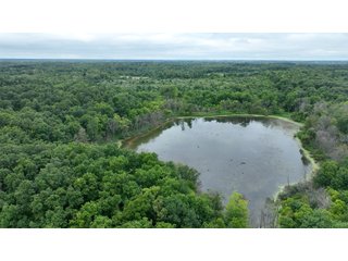 Property photo 4 - REAL ESTATE AUCTION - WILDLIFE & HUNTER'S PARADISE - 32+/- ACRES OFFERED IN 2 TRACTS IN HILLSDALE COUNTY, MICHIGAN