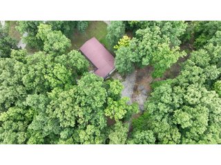 Property photo 6 - REAL ESTATE AUCTION - WILDLIFE & HUNTER'S PARADISE - 32+/- ACRES OFFERED IN 2 TRACTS IN HILLSDALE COUNTY, MICHIGAN