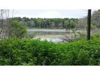 Property photo 7 - REAL ESTATE AUCTION - WILDLIFE & HUNTER'S PARADISE - 32+/- ACRES OFFERED IN 2 TRACTS IN HILLSDALE COUNTY, MICHIGAN