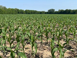 Property photo 45 - LAND AUCTION - 183.76+/-ACRES OFFERED IN 1 TRACT IN PICKAWAY COUNTY, OHIO