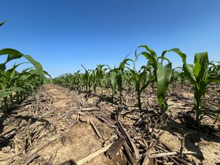 Property photo 35 - LAND AUCTION - 183.76+/-ACRES OFFERED IN 1 TRACT IN PICKAWAY COUNTY, OHIO