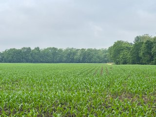 Property photo 39 - LAND AUCTION - 183.76+/-ACRES OFFERED IN 1 TRACT IN PICKAWAY COUNTY, OHIO
