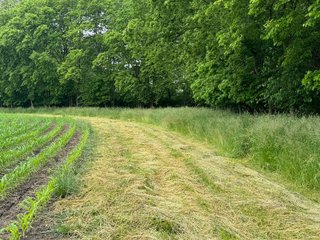 Property photo 38 - LAND AUCTION - 183.76+/-ACRES OFFERED IN 1 TRACT IN PICKAWAY COUNTY, OHIO