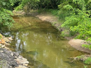 Property photo 36 - LAND AUCTION - 183.76+/-ACRES OFFERED IN 1 TRACT IN PICKAWAY COUNTY, OHIO