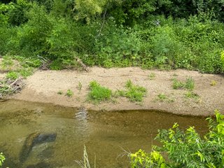 Property photo 44 - LAND AUCTION - 183.76+/-ACRES OFFERED IN 1 TRACT IN PICKAWAY COUNTY, OHIO