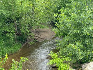 Property photo 62 - LAND AUCTION - 183.76+/-ACRES OFFERED IN 1 TRACT IN PICKAWAY COUNTY, OHIO