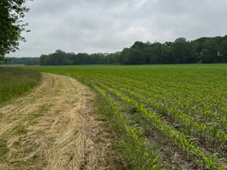 Property photo 61 - LAND AUCTION - 183.76+/-ACRES OFFERED IN 1 TRACT IN PICKAWAY COUNTY, OHIO