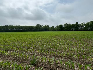 Property photo 60 - LAND AUCTION - 183.76+/-ACRES OFFERED IN 1 TRACT IN PICKAWAY COUNTY, OHIO