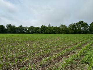 Property photo 59 - LAND AUCTION - 183.76+/-ACRES OFFERED IN 1 TRACT IN PICKAWAY COUNTY, OHIO