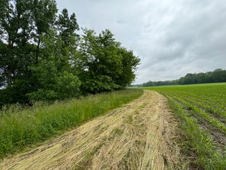 Property photo 57 - LAND AUCTION - 183.76+/-ACRES OFFERED IN 1 TRACT IN PICKAWAY COUNTY, OHIO