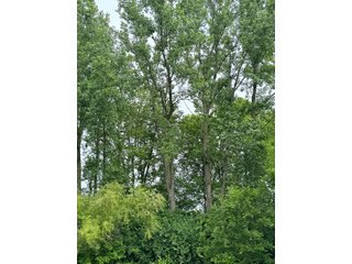 Property photo 56 - LAND AUCTION - 183.76+/-ACRES OFFERED IN 1 TRACT IN PICKAWAY COUNTY, OHIO